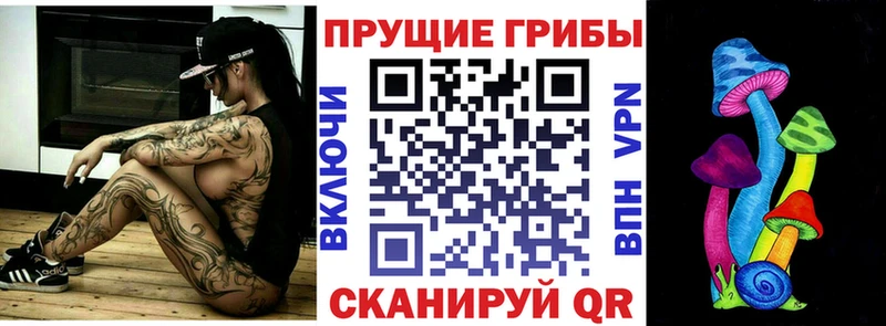 Псилоцибиновые грибы прущие грибы  сайты даркнета телеграм  Вельск 