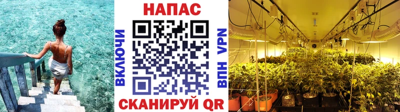 МАРИХУАНА ГИДРОПОН  МЕГА рабочий сайт  Вельск  купить  